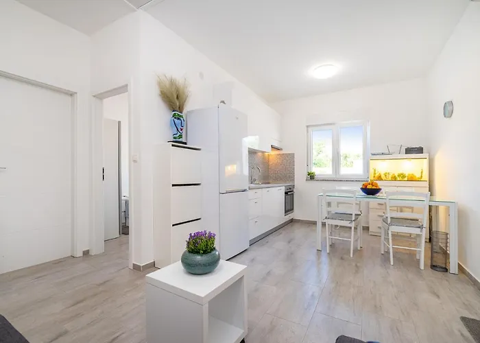 House Ventum Ражанац